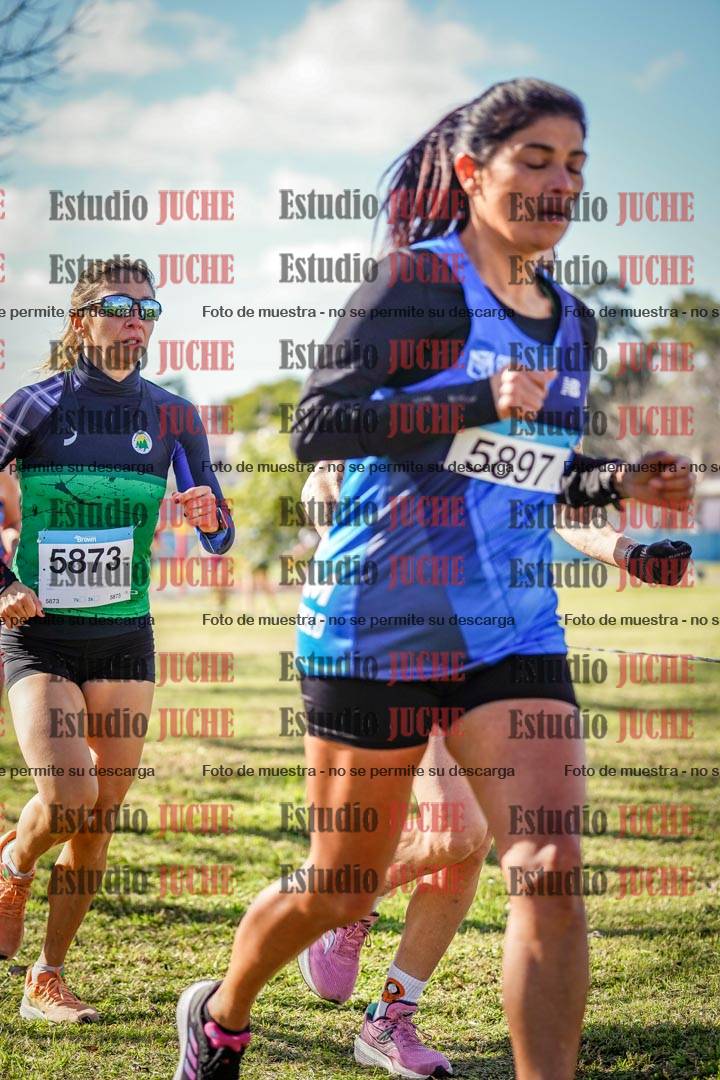 Fotos en el circuito