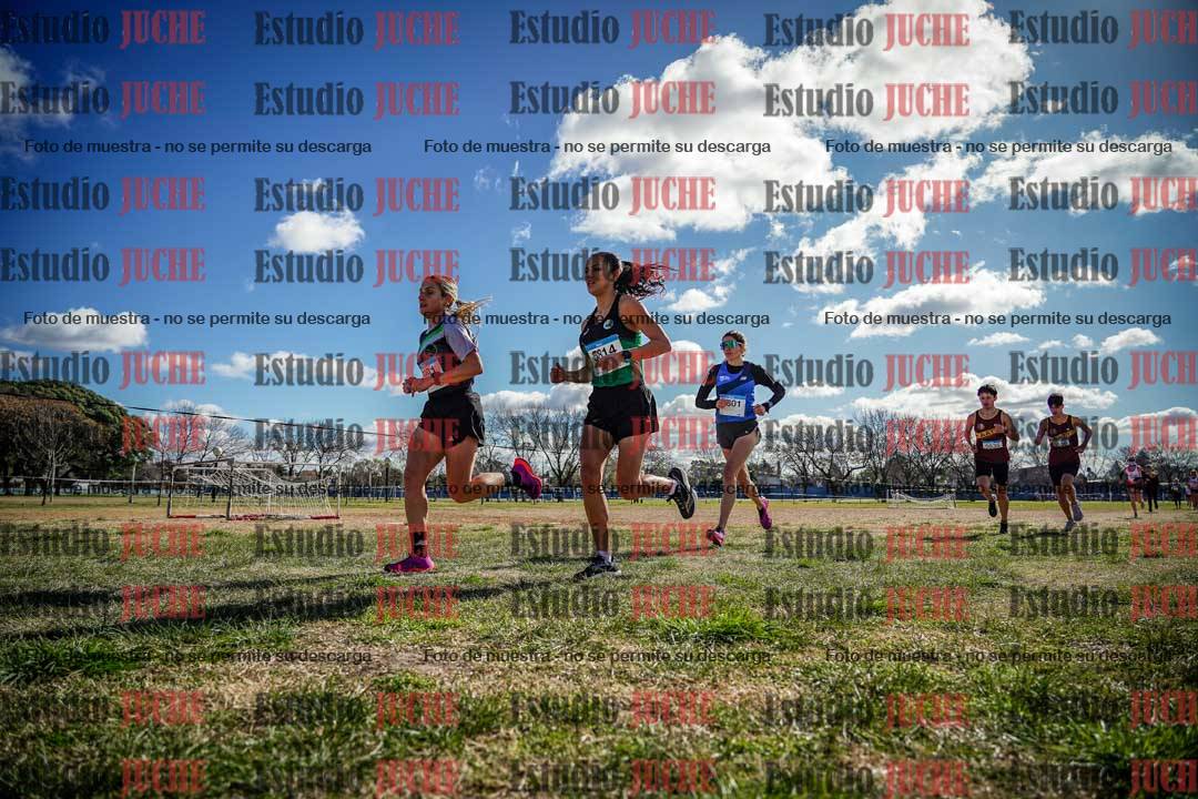 Fotos en el circuito