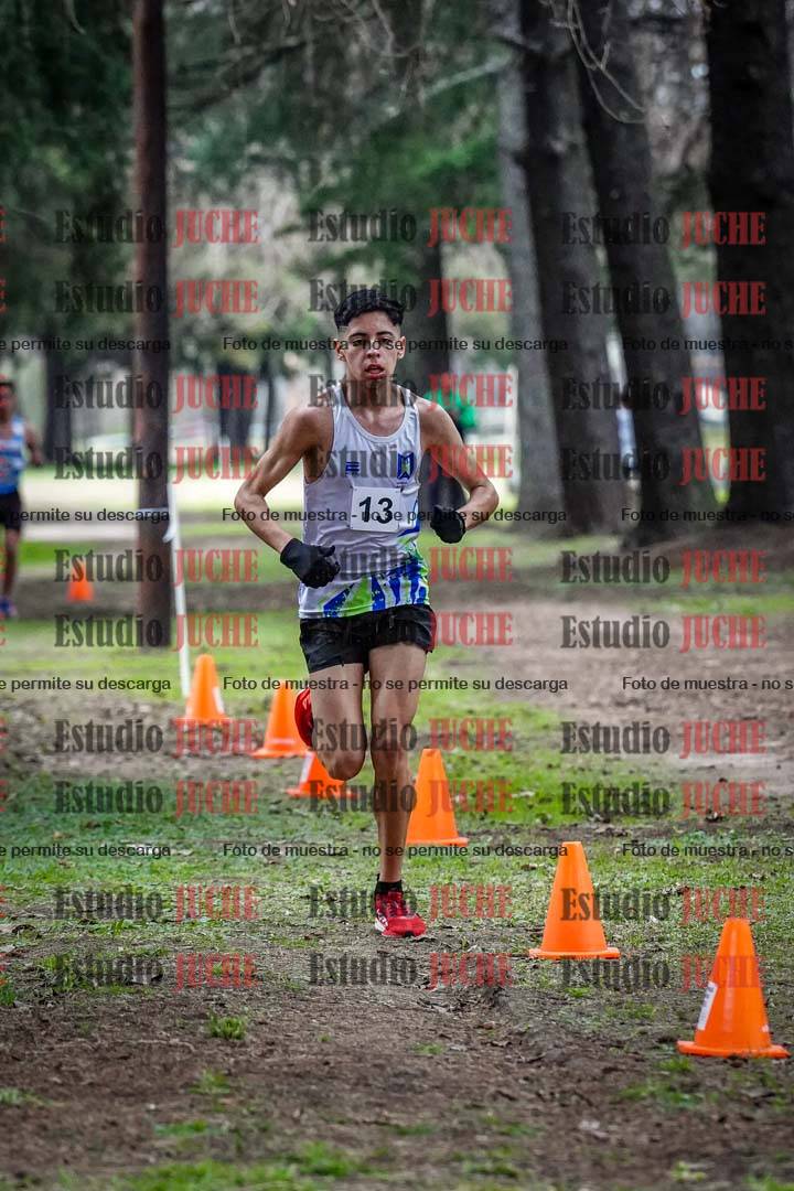 Fotos en el circuito