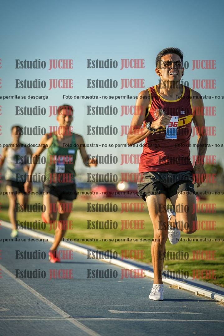 Fotos de los 1500 m llanos de varones