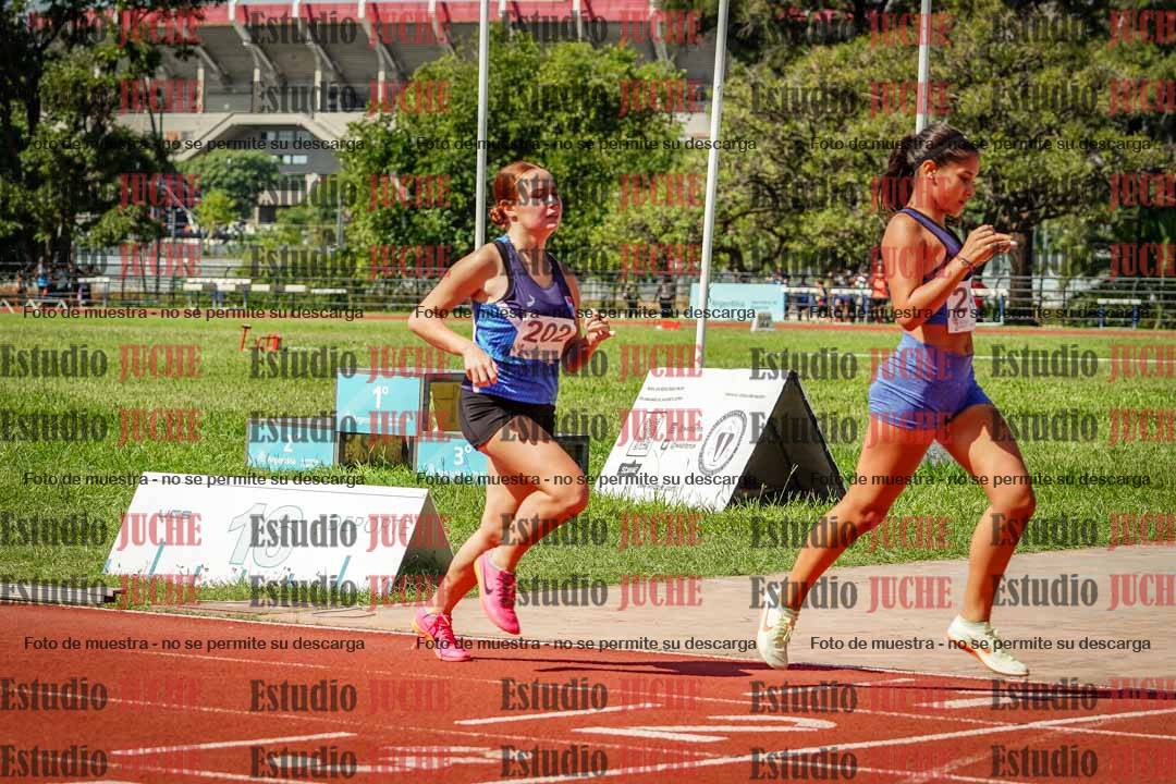 Fotos de los 800 m llanos de mujeres