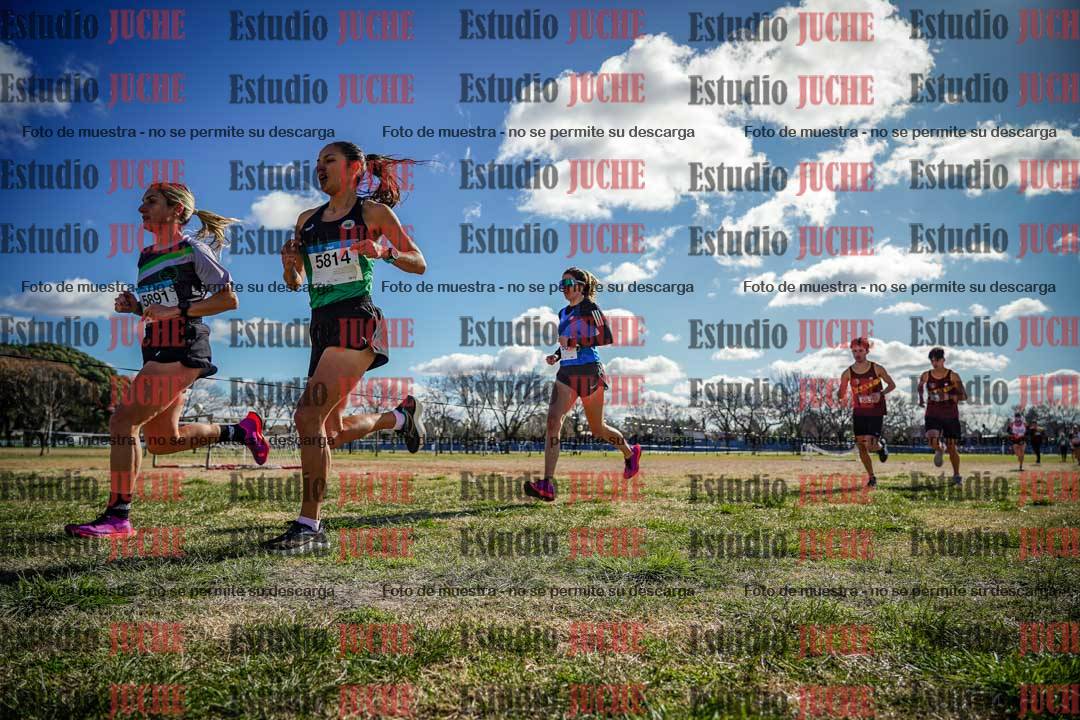 Fotos en el circuito