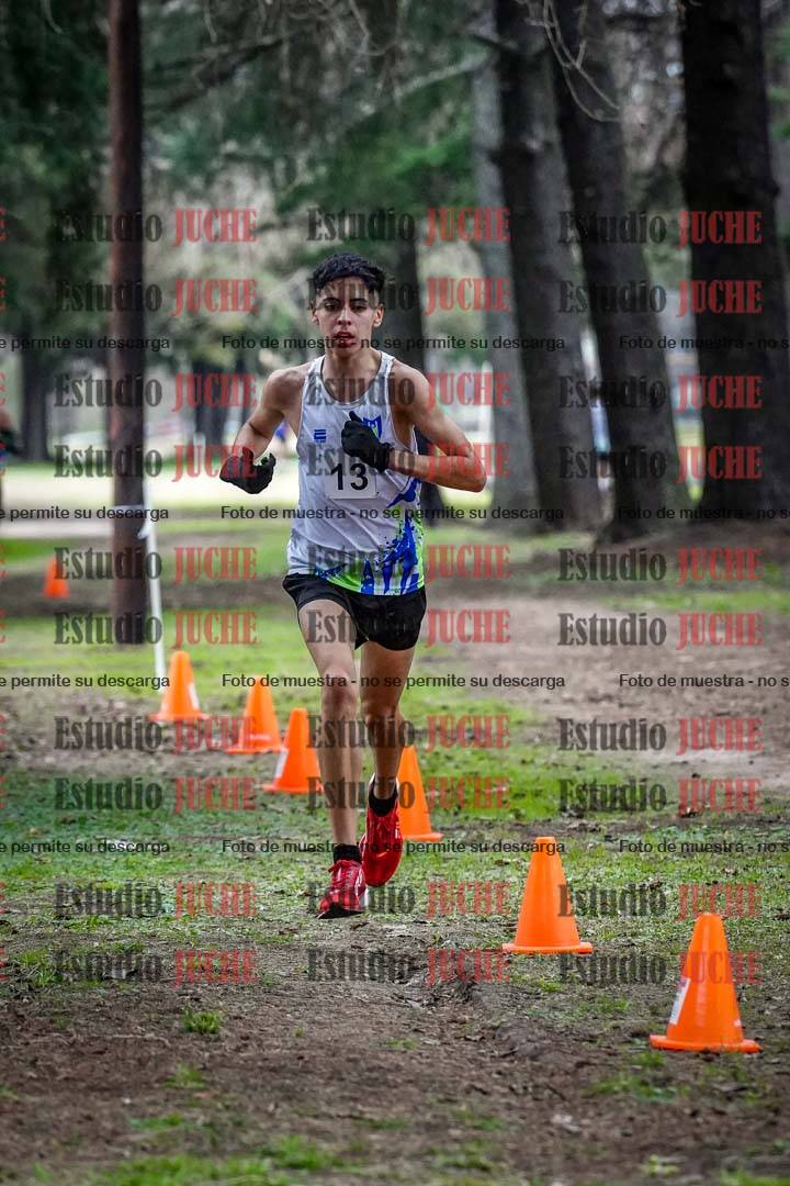 Fotos en el circuito