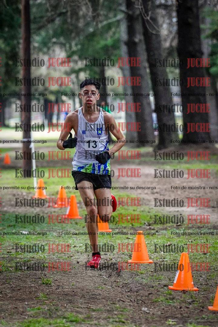 Fotos en el circuito