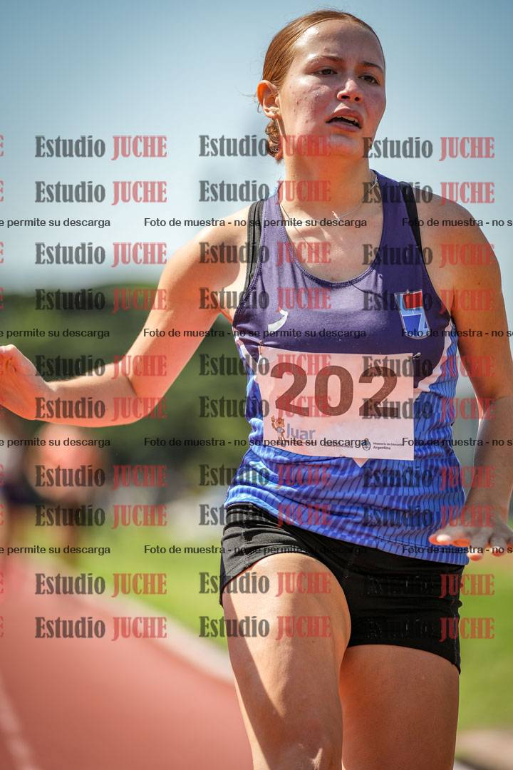 Fotos de los 800 m llanos de mujeres