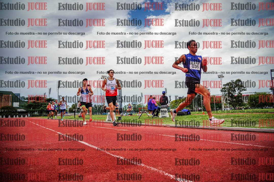 Fotos de los 3000 m llanos de varones