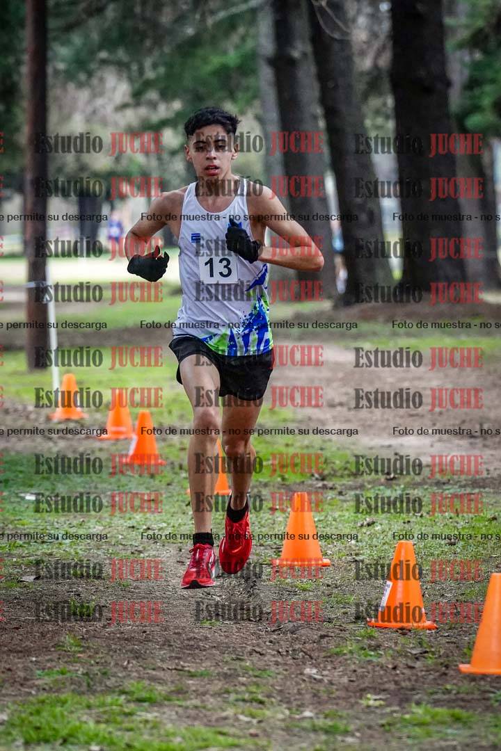 Fotos en el circuito