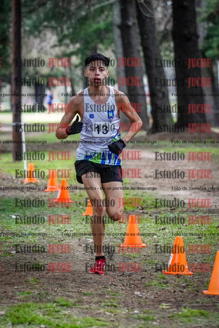 Fotos en el circuito