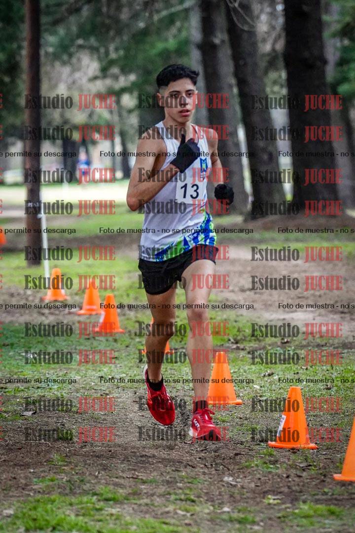 Fotos en el circuito