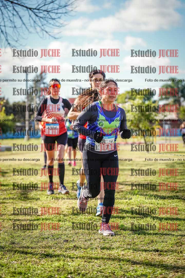 Fotos en el circuito