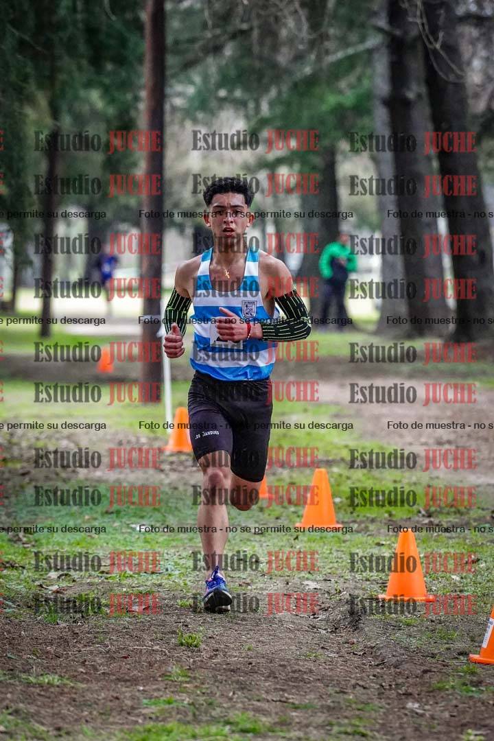Fotos en el circuito