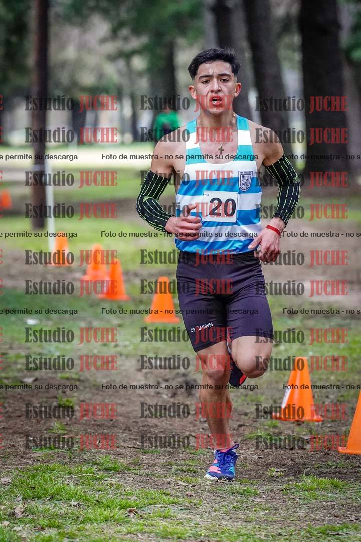 Fotos en el circuito