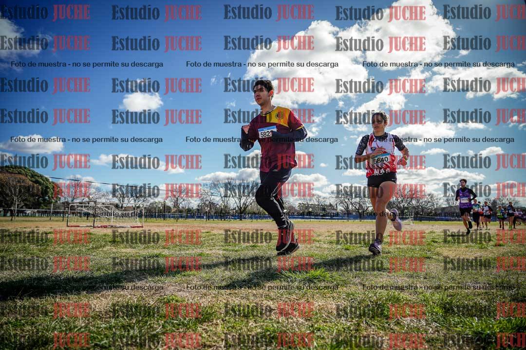 Fotos en el circuito