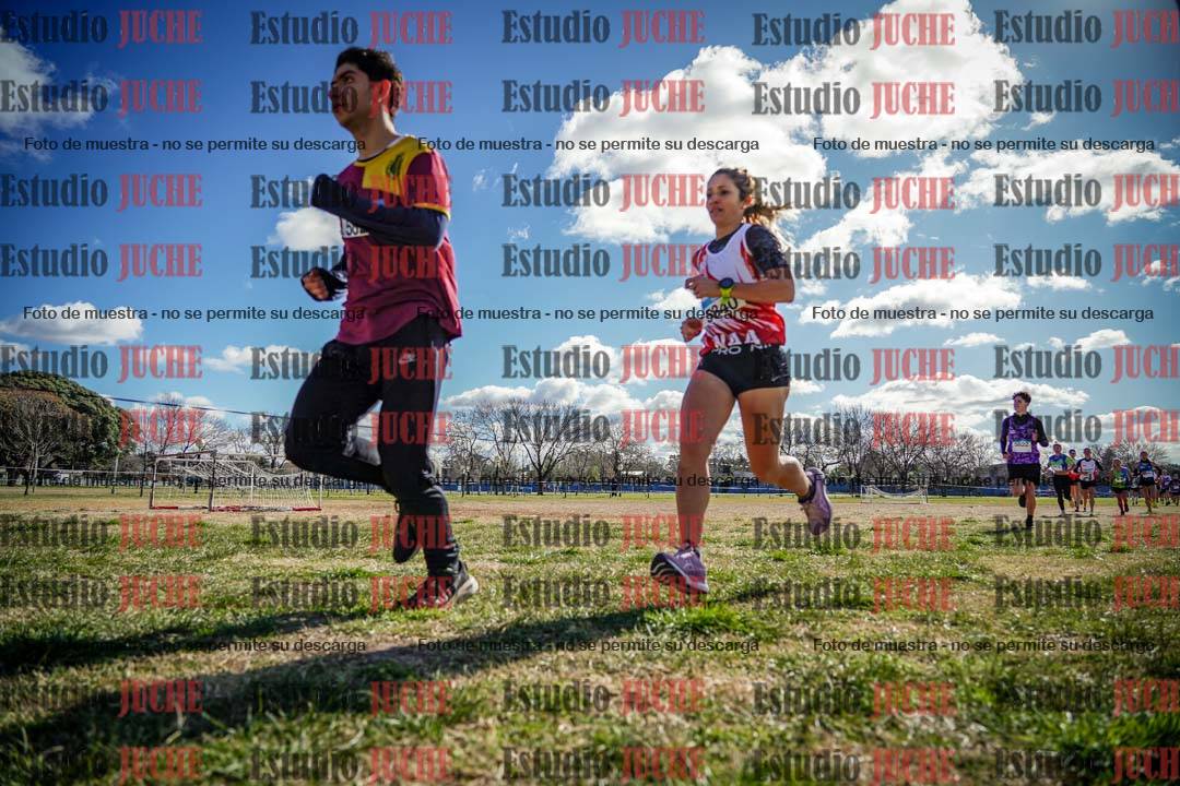 Fotos en el circuito
