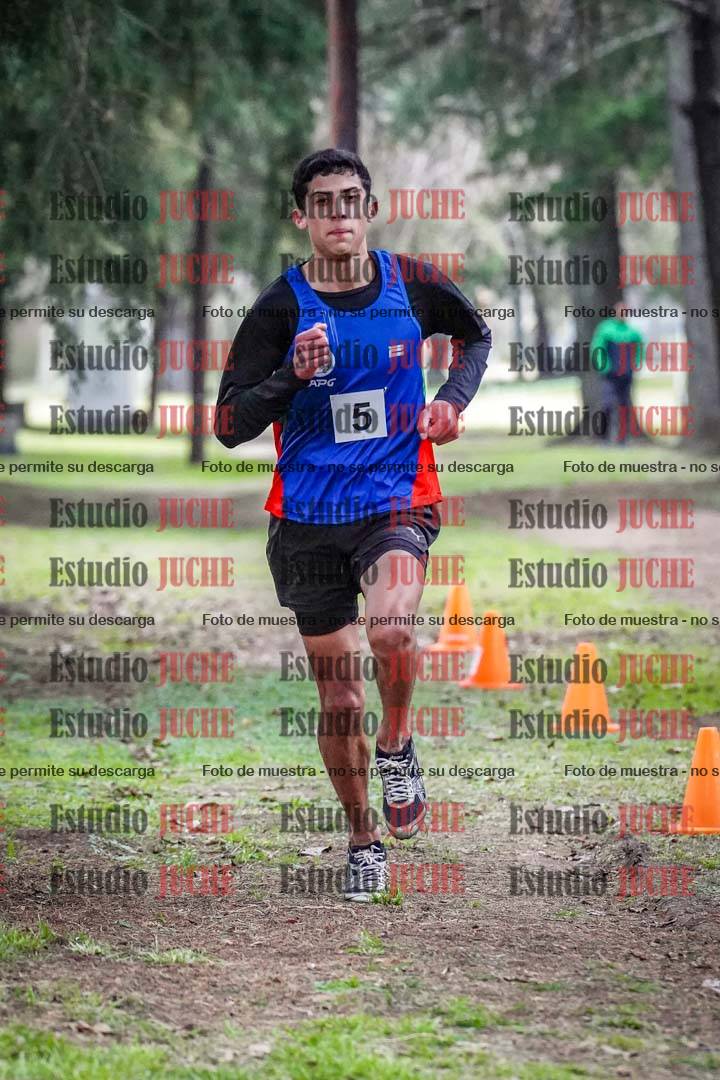 Fotos en el circuito