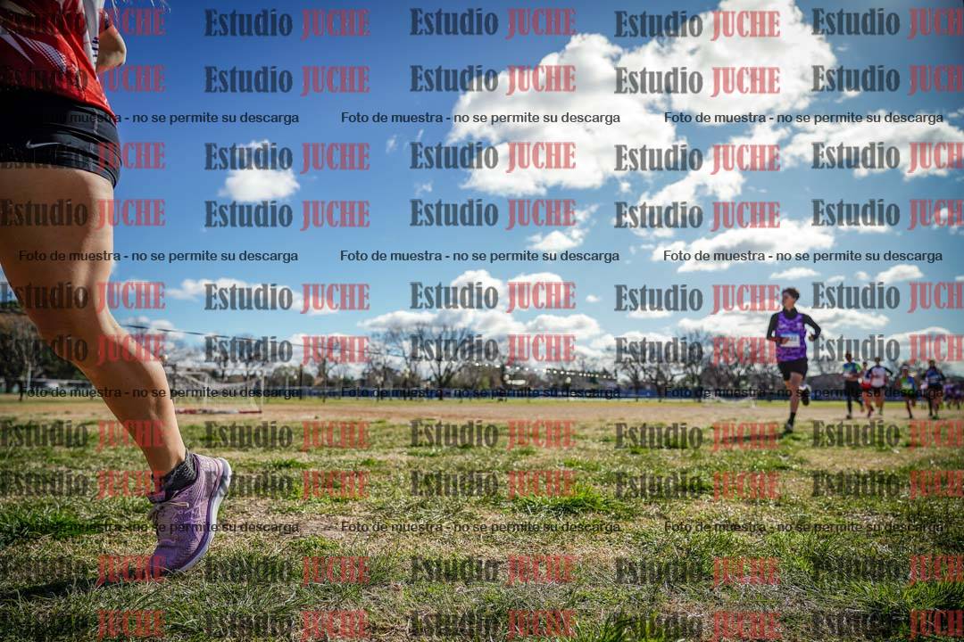Fotos en el circuito