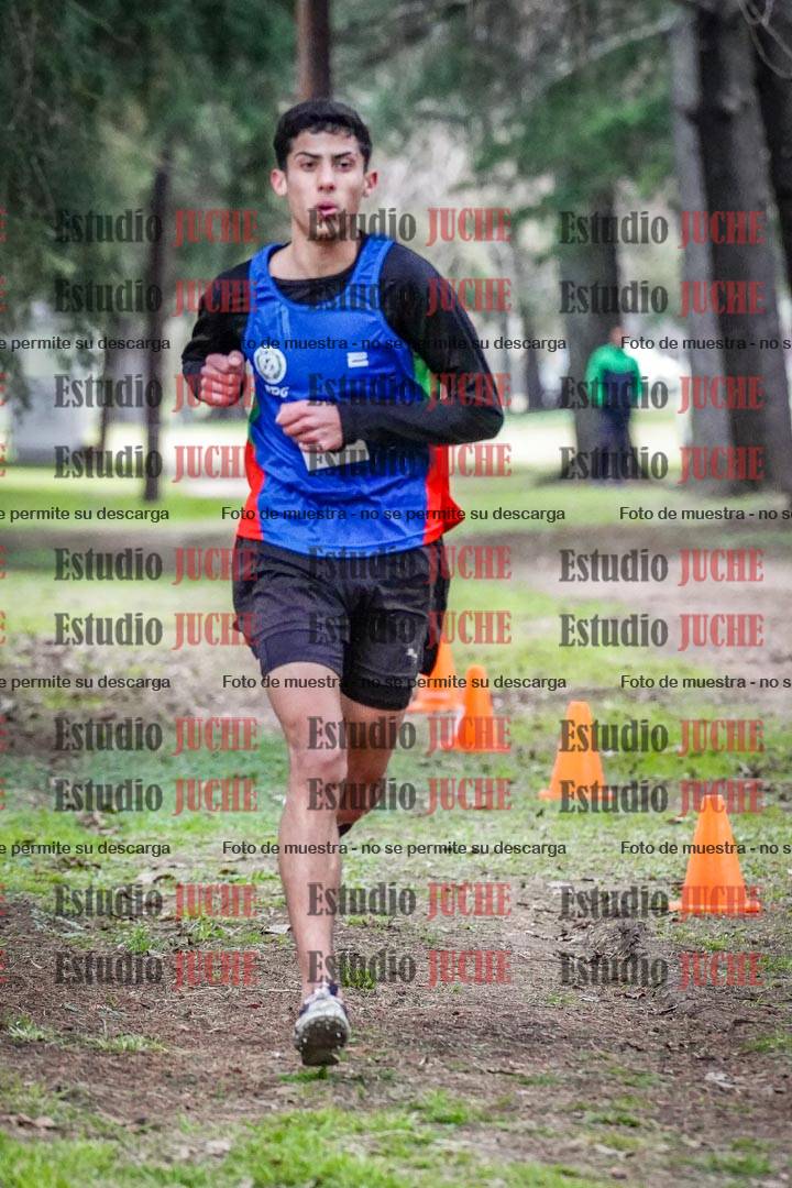 Fotos en el circuito