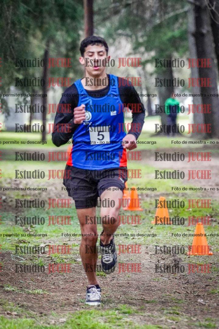 Fotos en el circuito