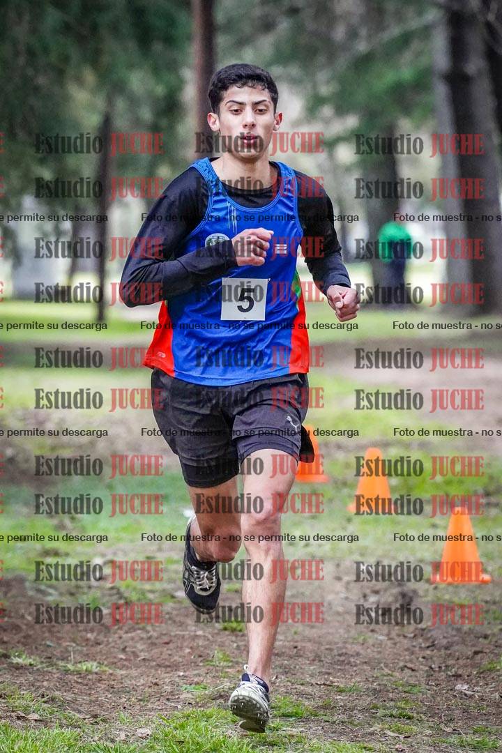 Fotos en el circuito