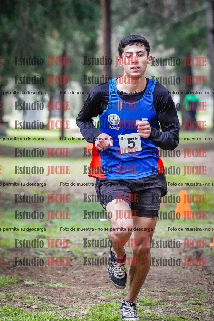 Fotos en el circuito