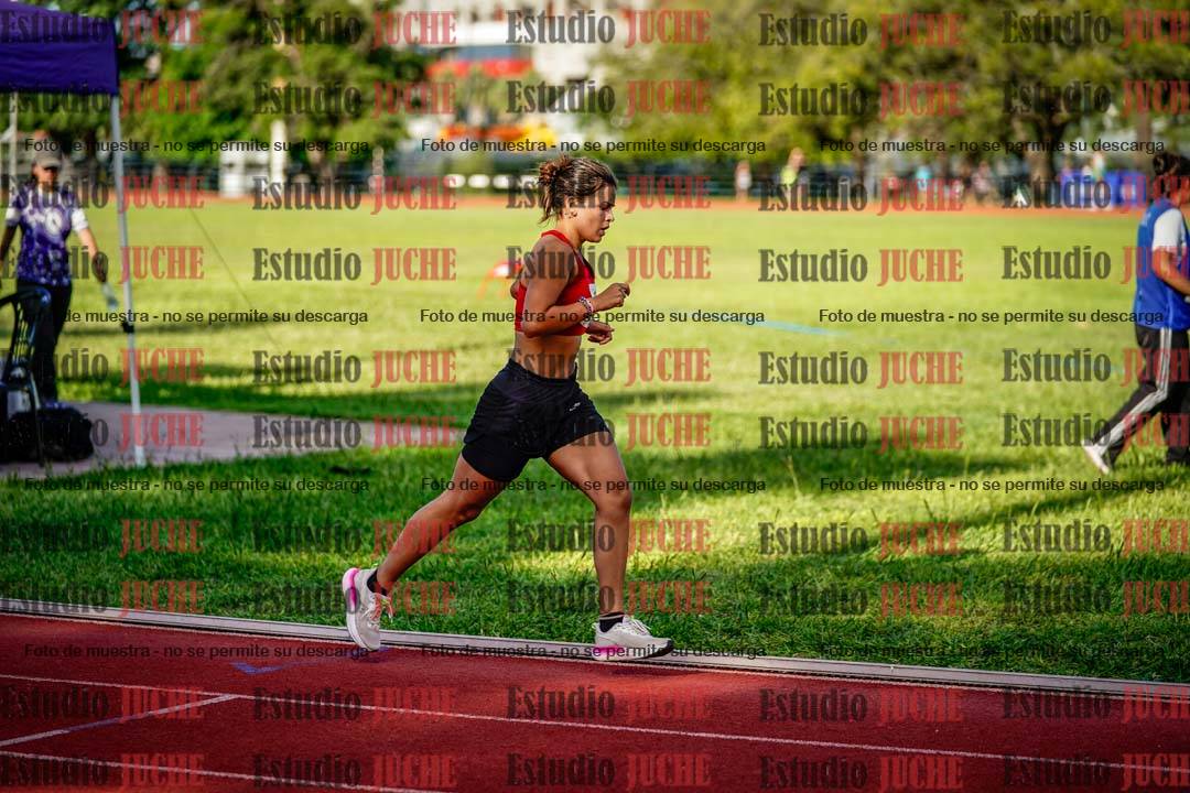 Fotos de los 1500 m de mujeres