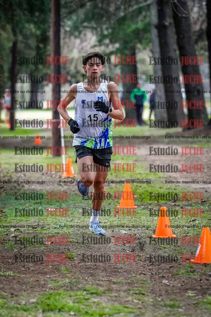 Fotos en el circuito