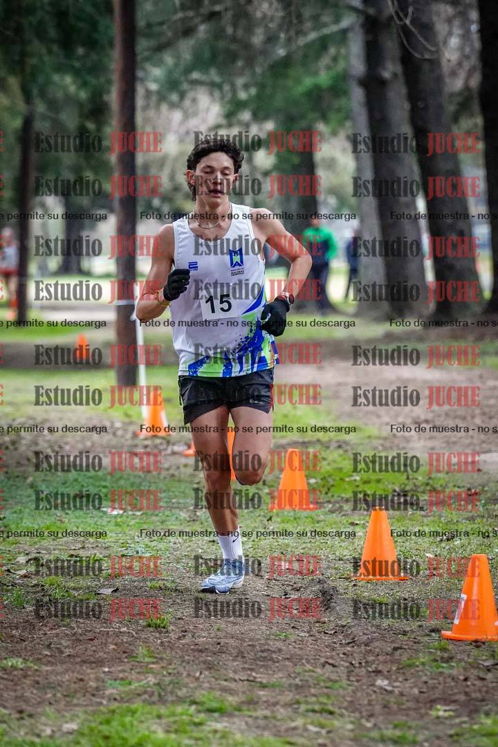 Fotos en el circuito