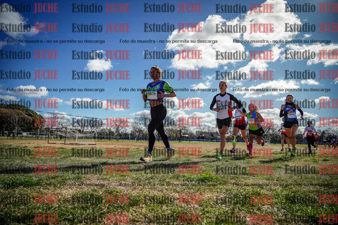 Fotos en el circuito