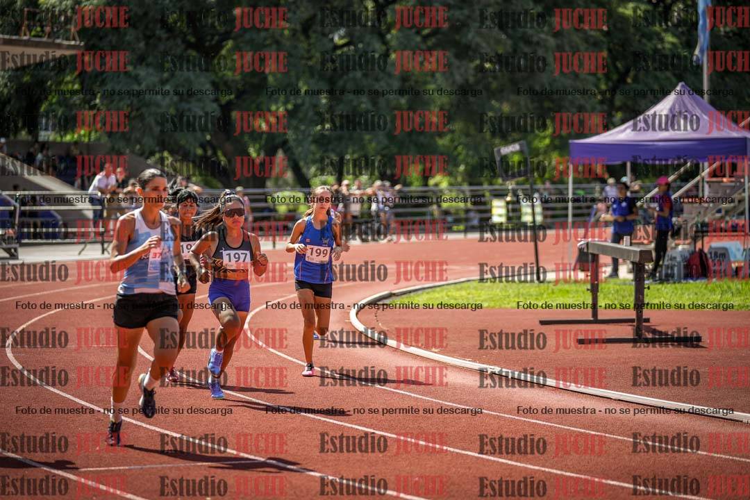 Fotos de los 800 m llanos de mujeres