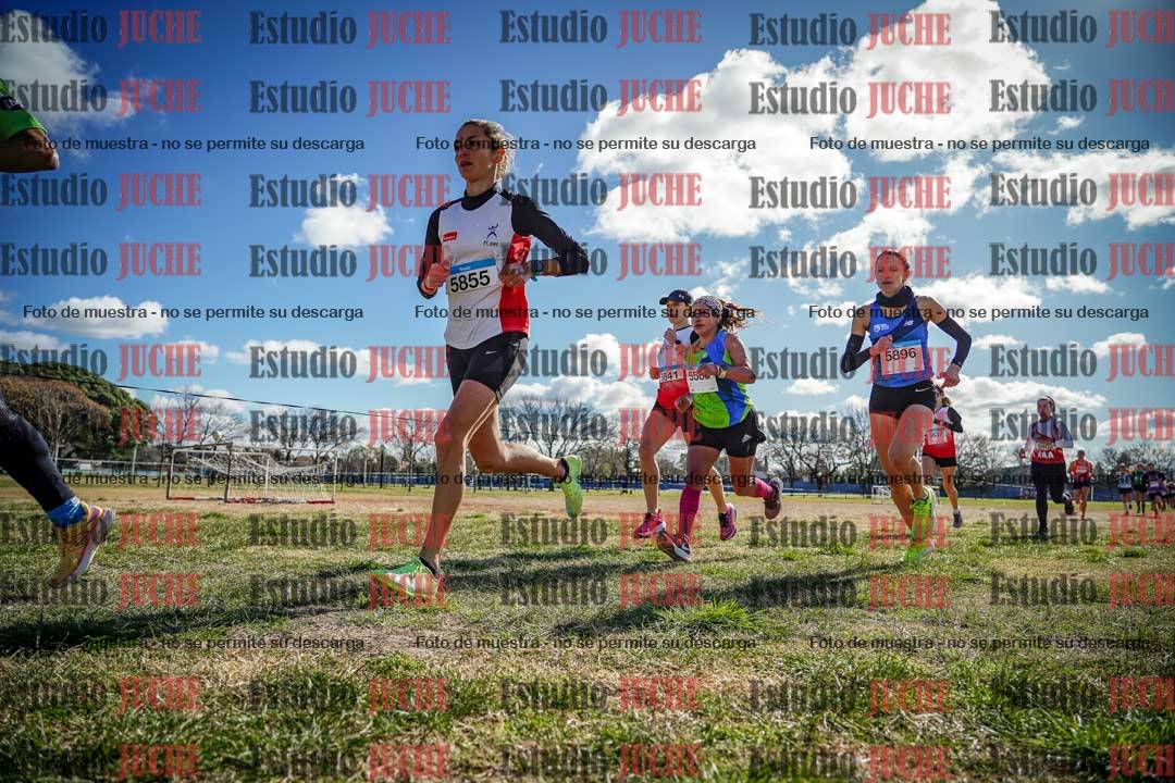 Fotos en el circuito