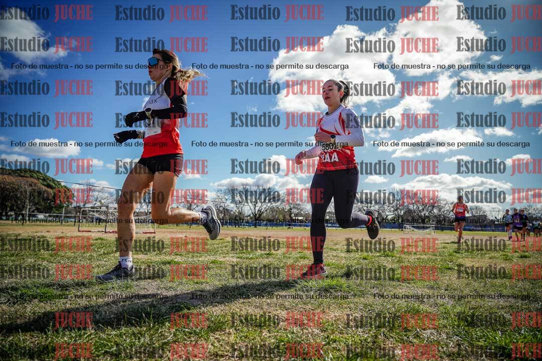 Fotos en el circuito