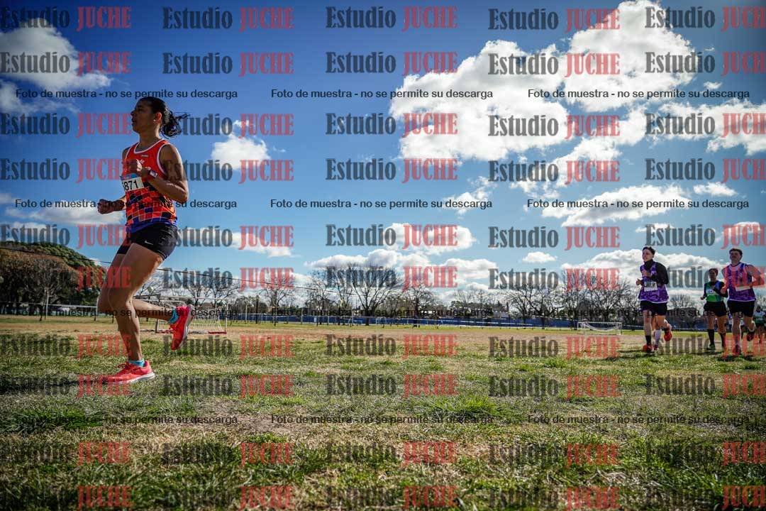 Fotos en el circuito