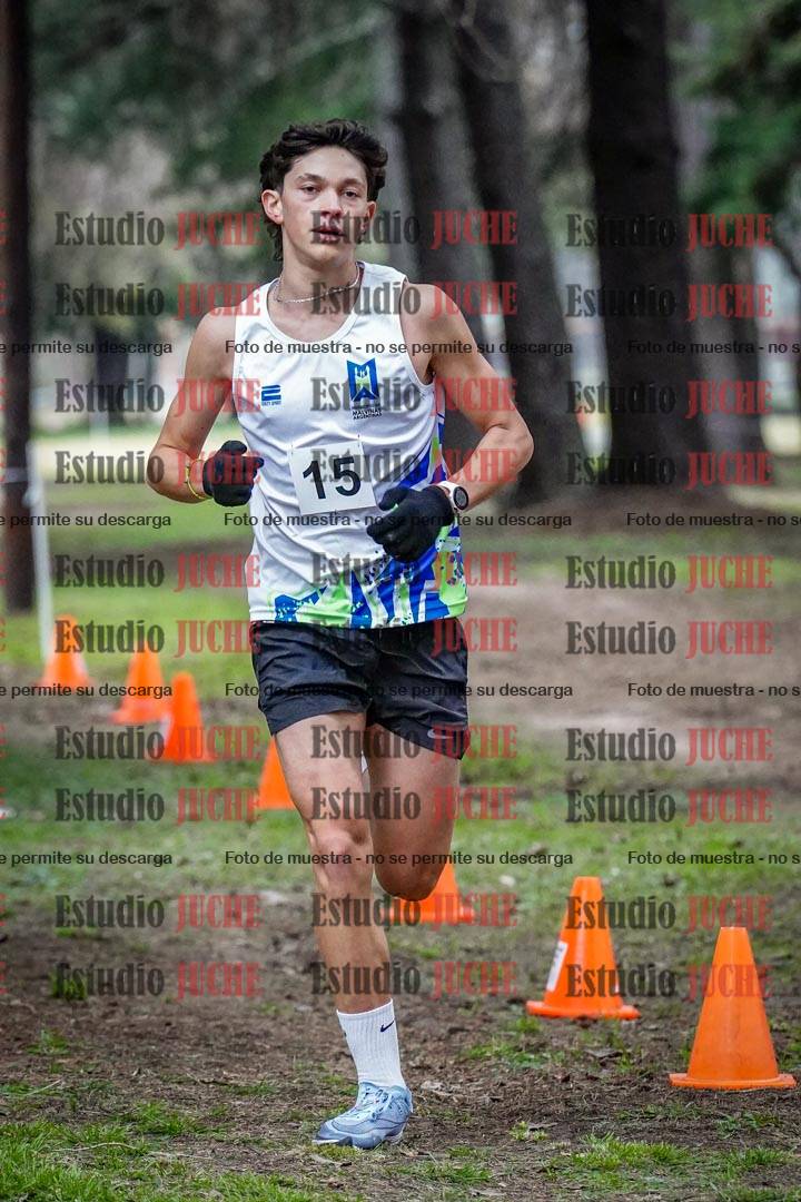 Fotos en el circuito