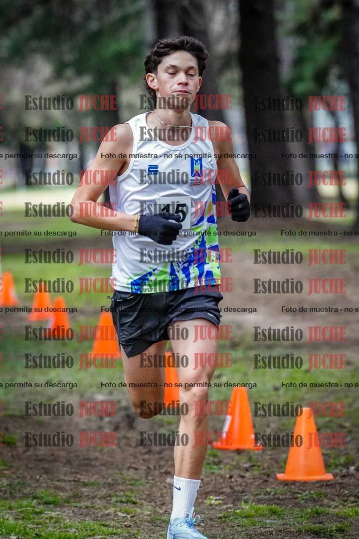 Fotos en el circuito