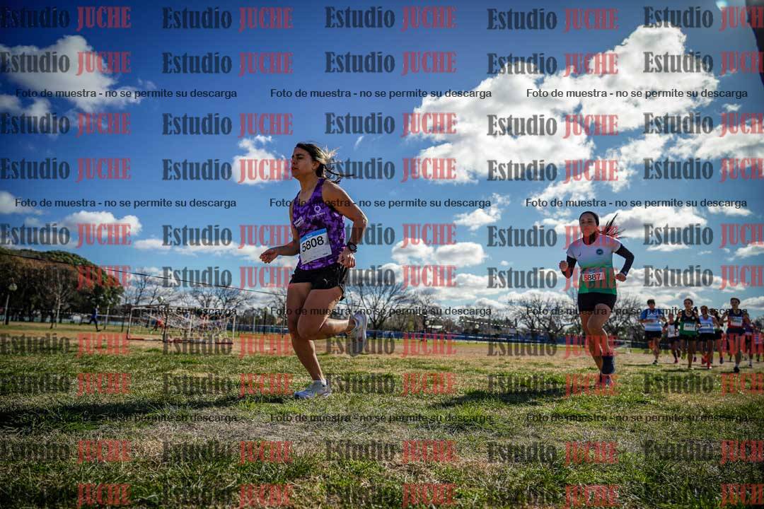 Fotos en el circuito