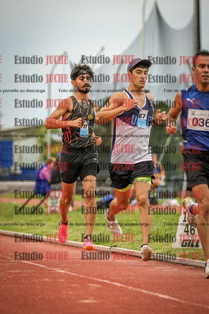 Fotos de los 3000 m llanos de varones