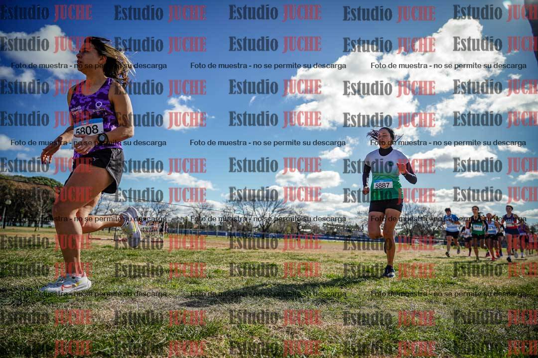 Fotos en el circuito