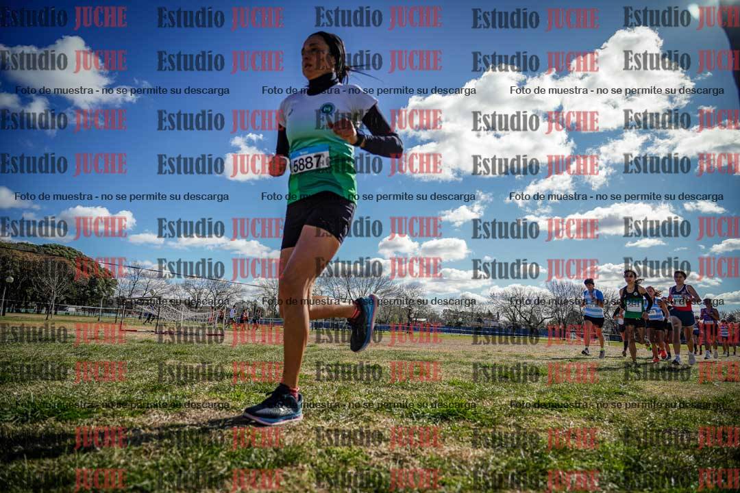Fotos en el circuito