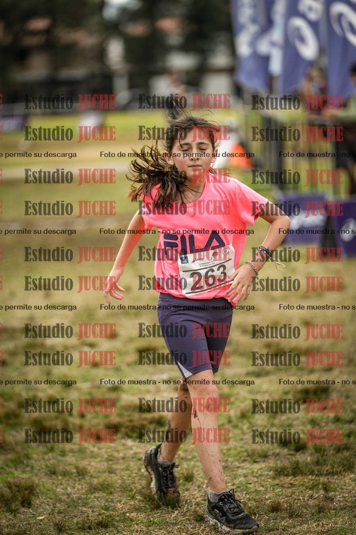 Fotos de la llegada