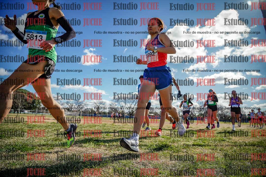 Fotos en el circuito