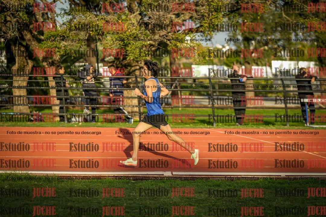 Fotos de los 3000 m llanos de varones