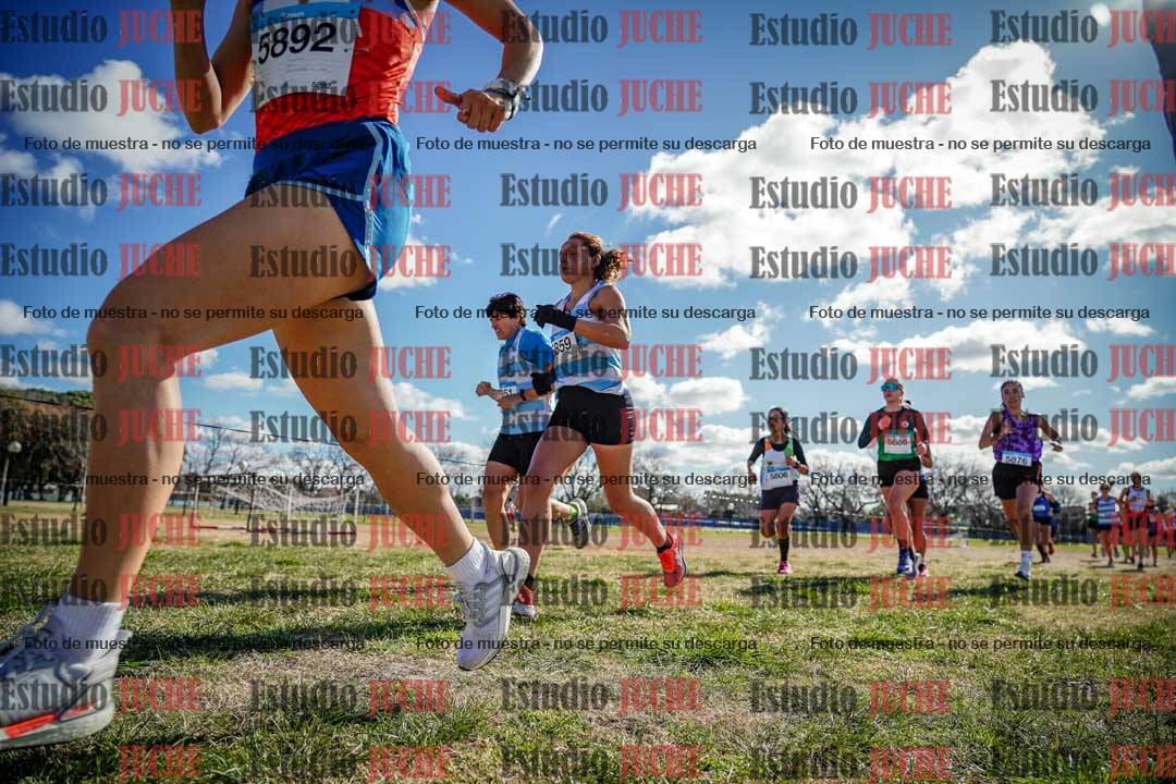 Fotos en el circuito