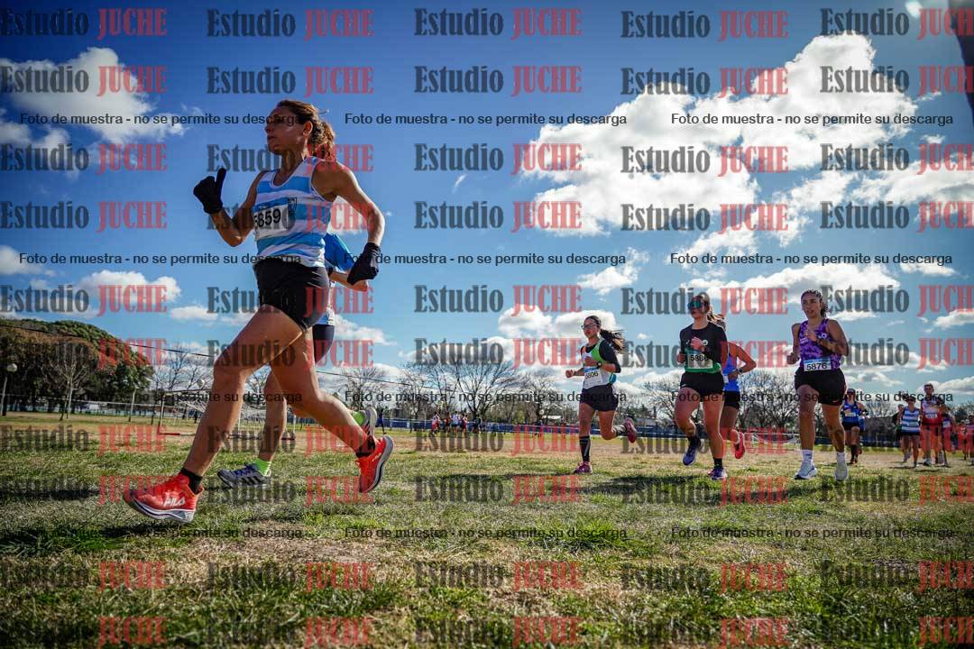 Fotos en el circuito