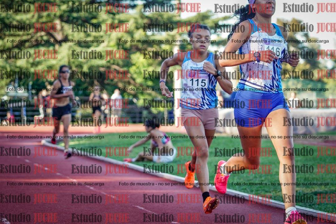 Fotos de los 1500 m de mujeres