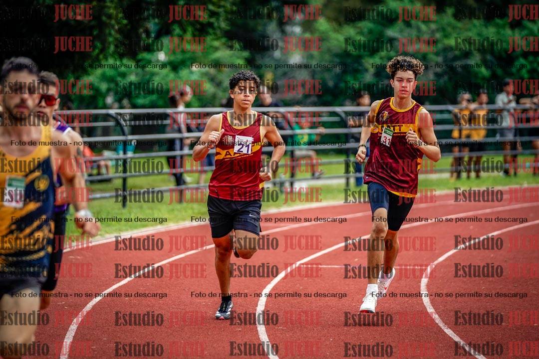 Fotos de los 800 m de varones