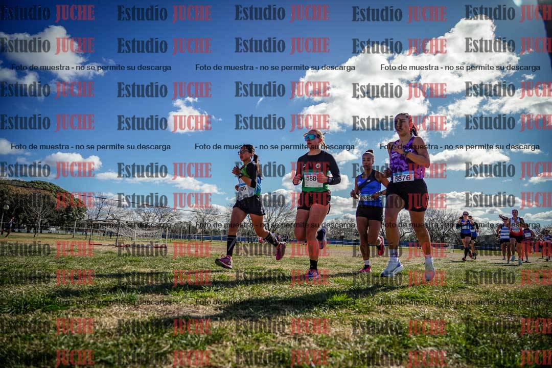 Fotos en el circuito