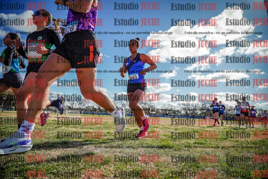 Fotos en el circuito