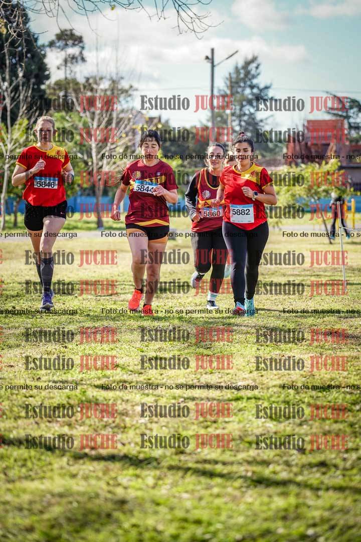 Fotos en el circuito