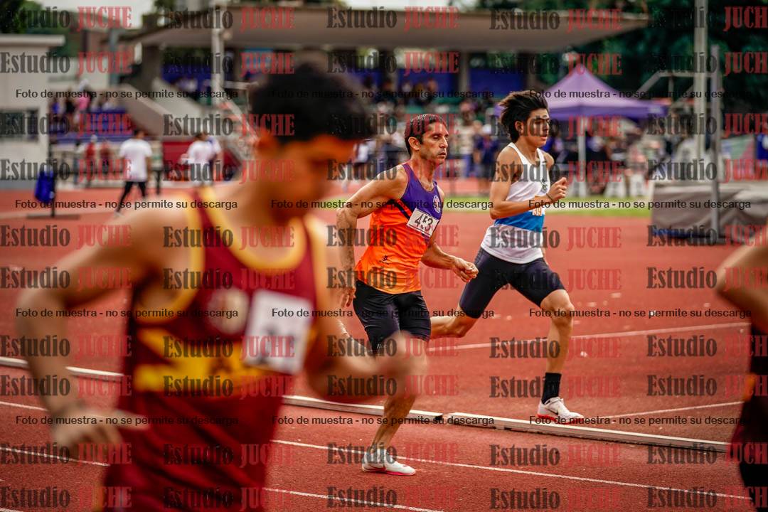 Fotos de los 800 m de varones