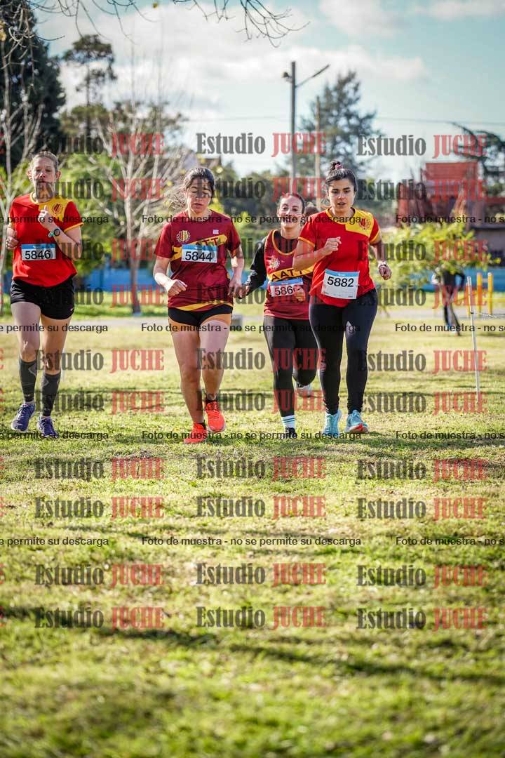 Fotos en el circuito
